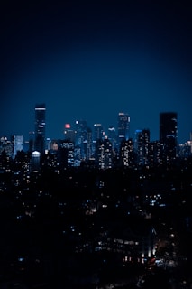 city skyline during night time