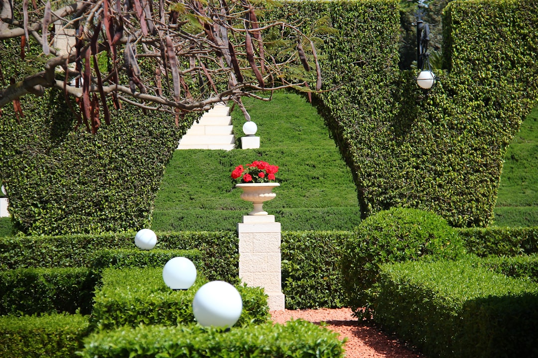 Baháʼí Gardens