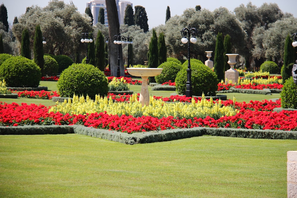 campo di erba verde con fiori rossi, gialli e rosa