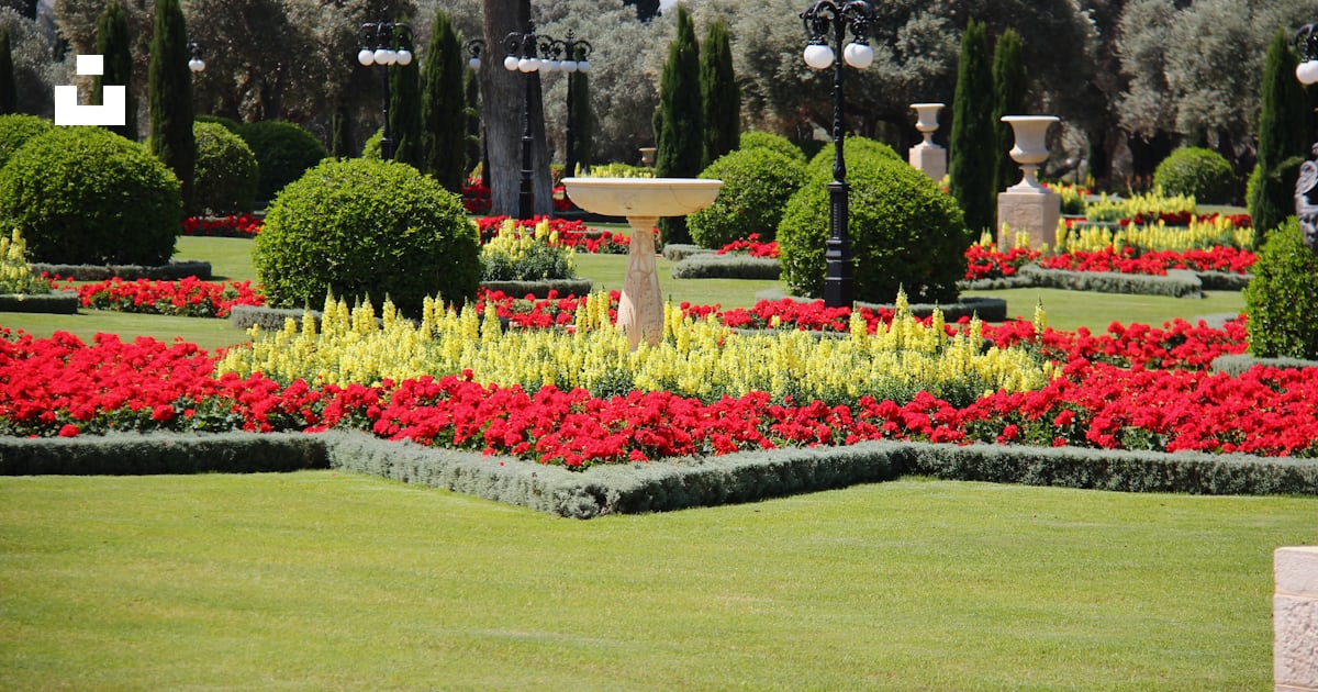 Green grass field with red yellow and pink flowers photo – Free Plant ...