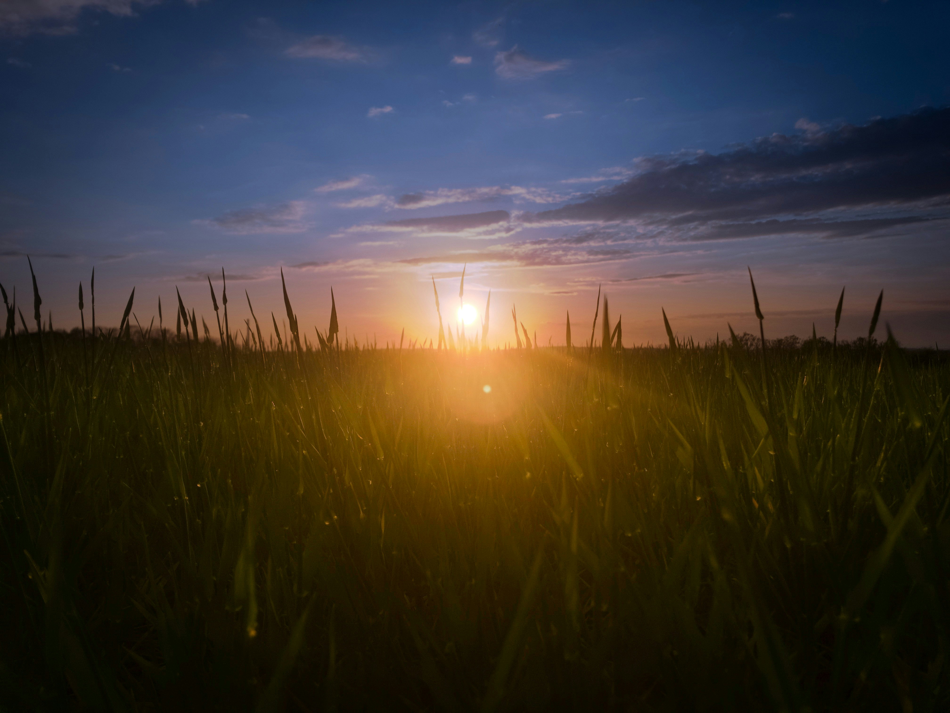 Photo by jindrichsamec