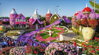 purple and white flower garden