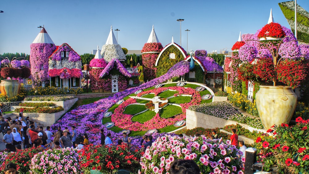 purple and white flower garden