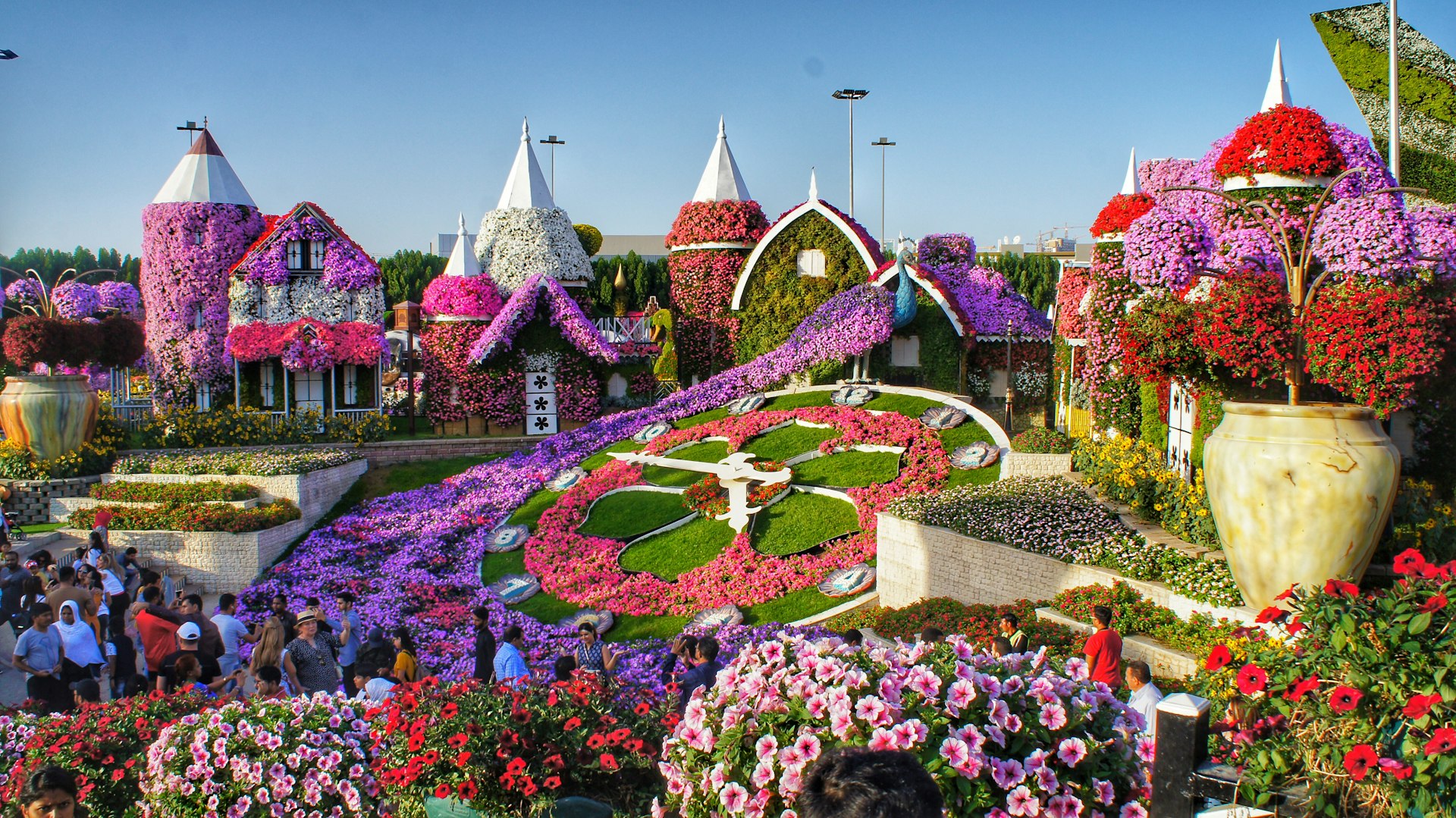 purple and white flower garden