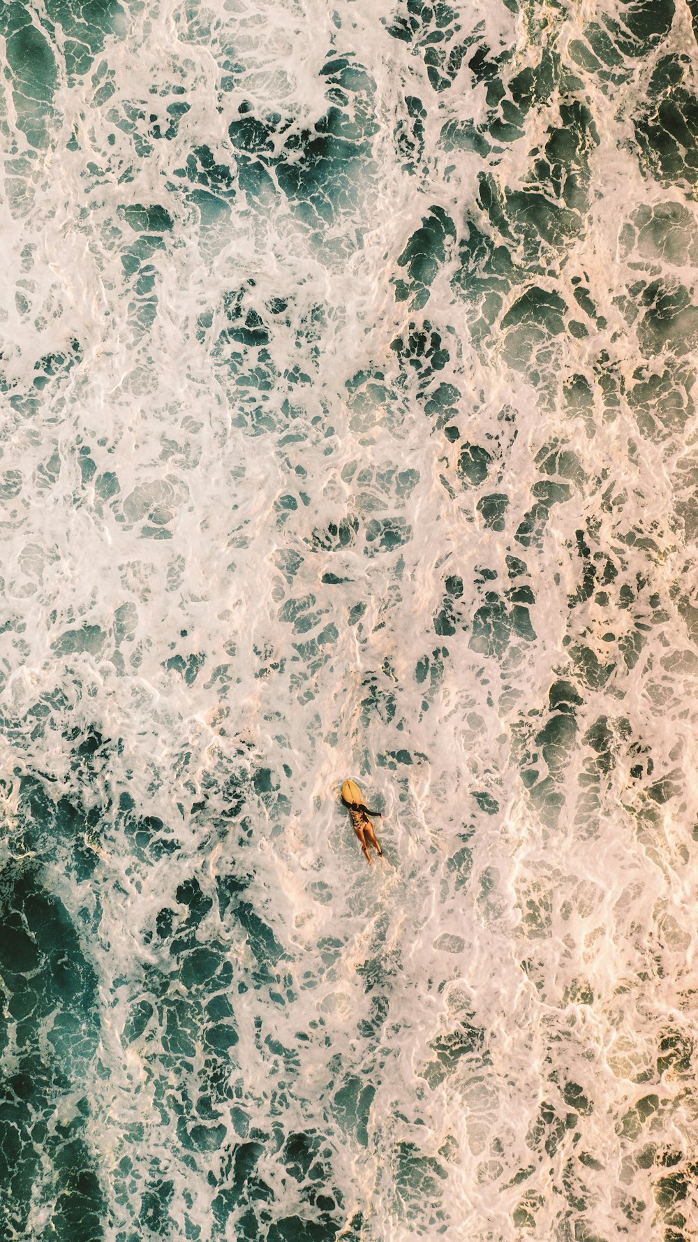 brown and black butterfly on white and blue water