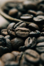 A close-up view of several coffee beans, displaying their rich, brown texture and detailed grooves. The image focuses on the natural patterns and highlights on the beans, creating a warm and inviting atmosphere.