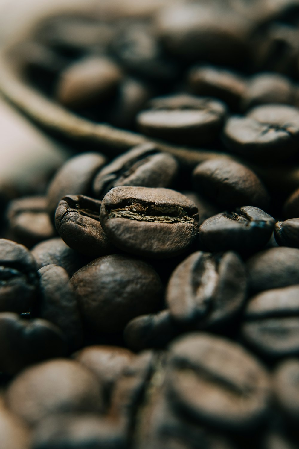 black coffee beans in close up photography