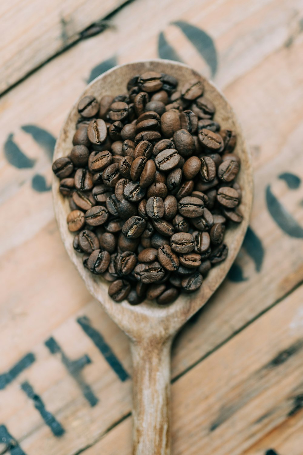 black beans on brown wooden spoon