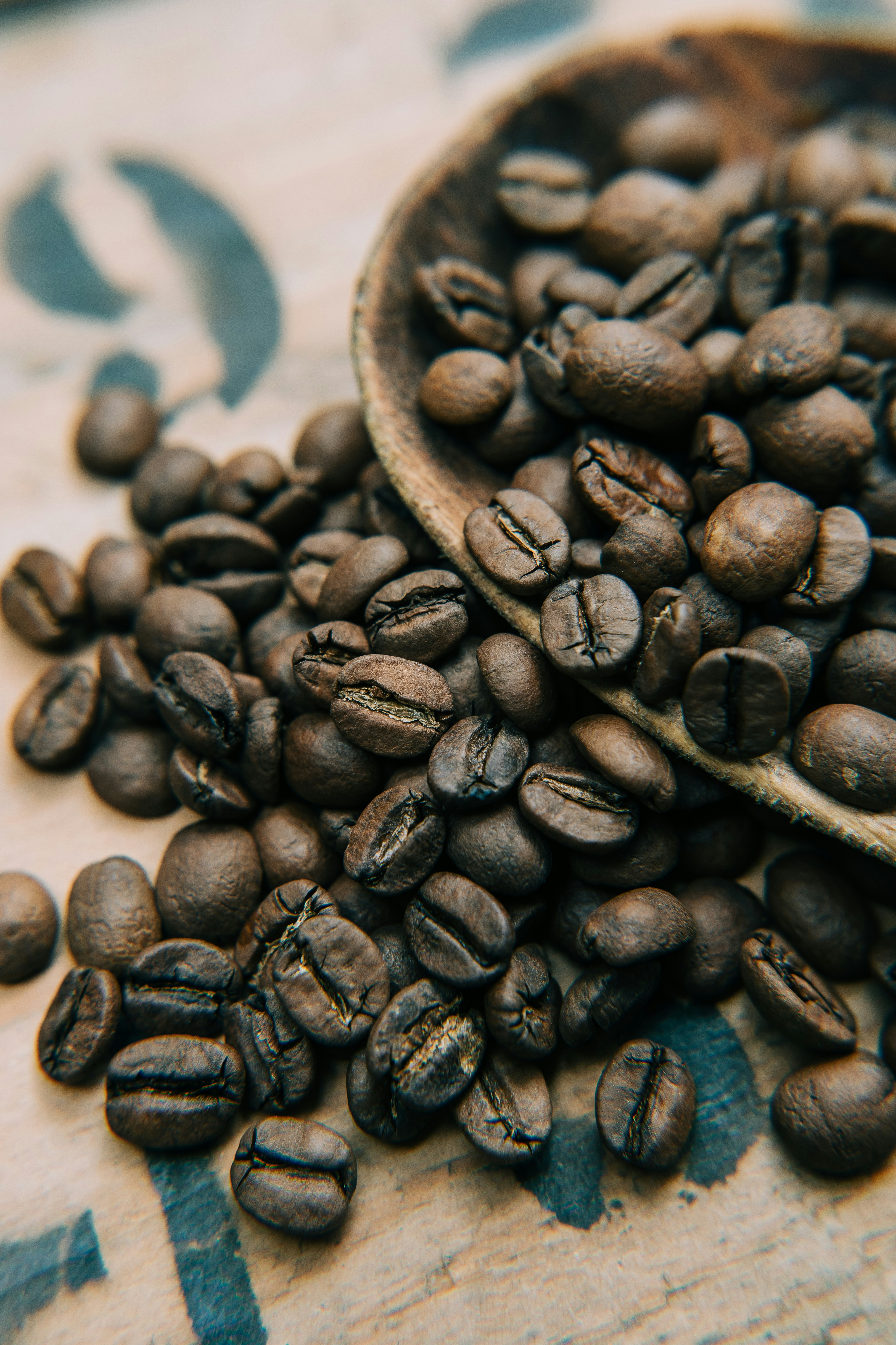 great photo recipe,how to photograph roasted to perfection, beans from the good cup coffee company; coffee beans on brown wooden bowl