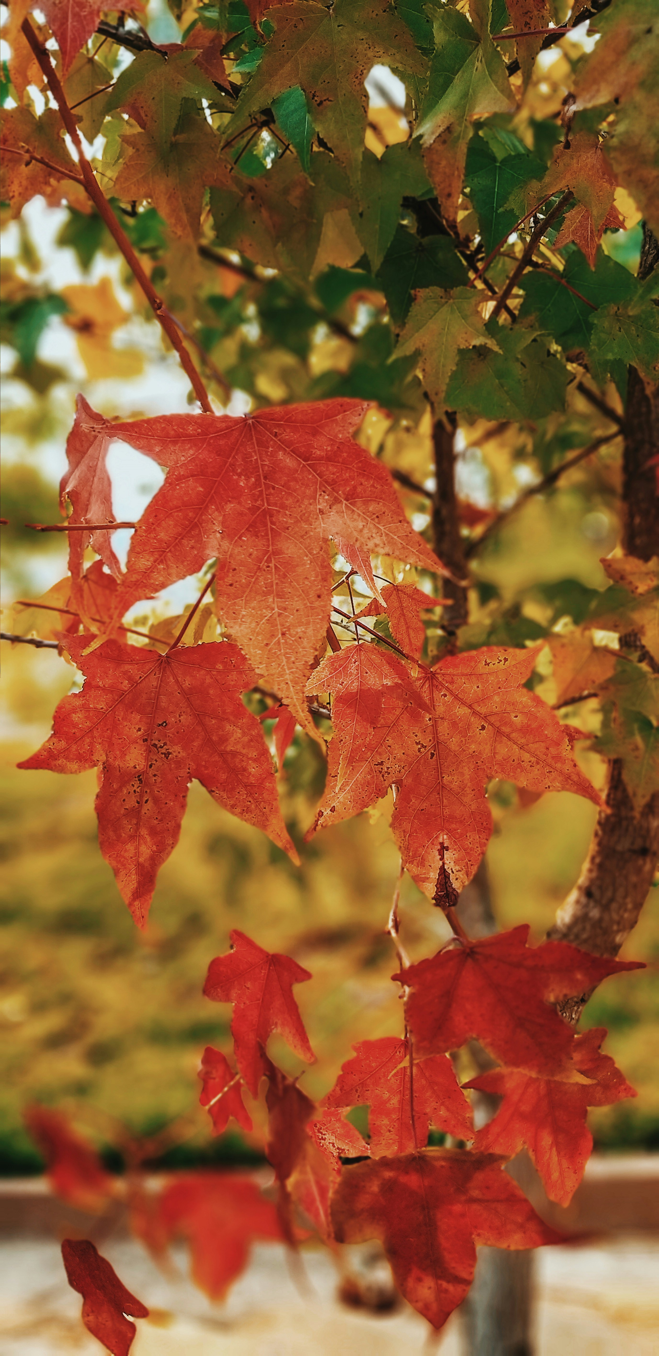 Photo by stephenmont