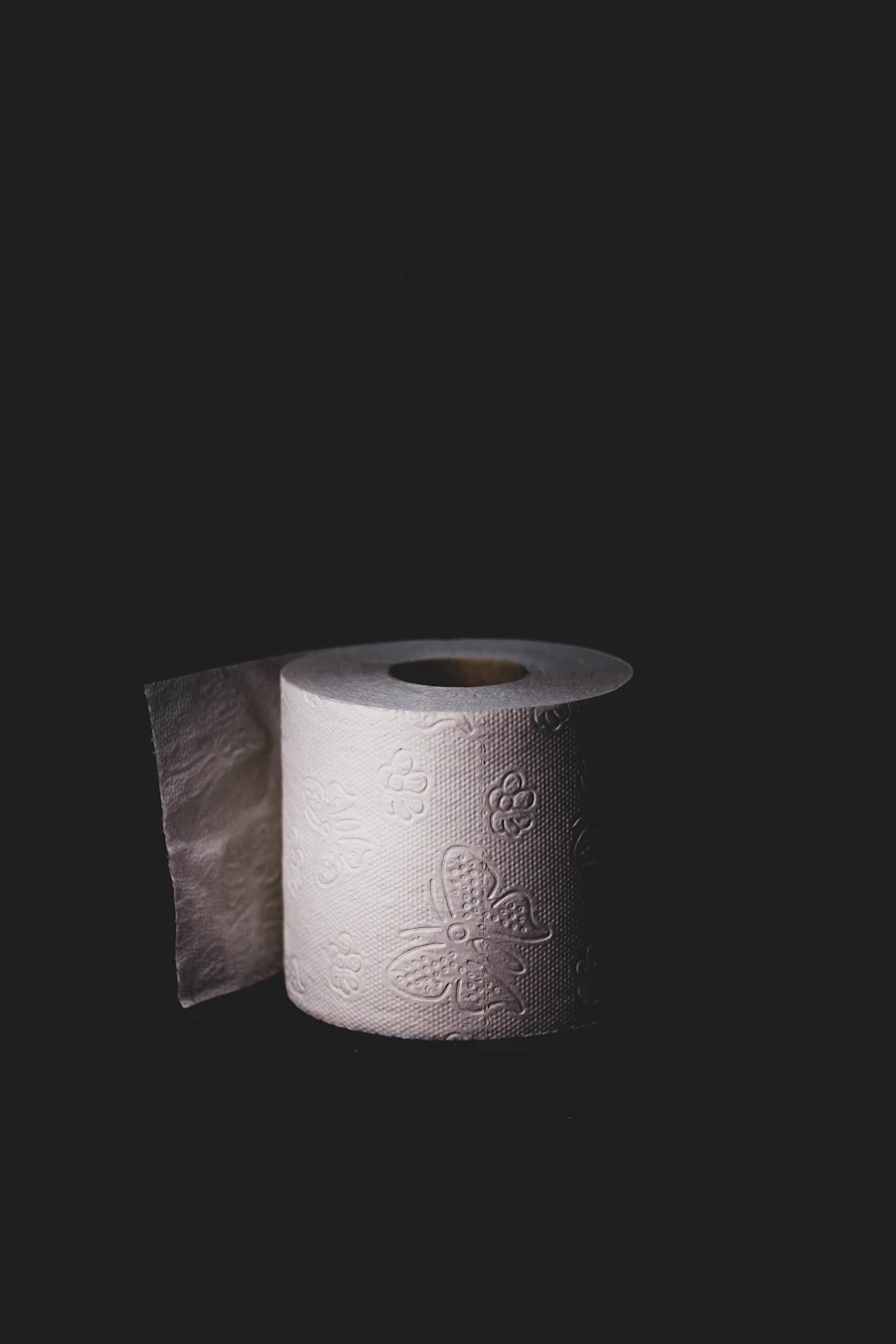 Kitchen Roll – 2 rolls