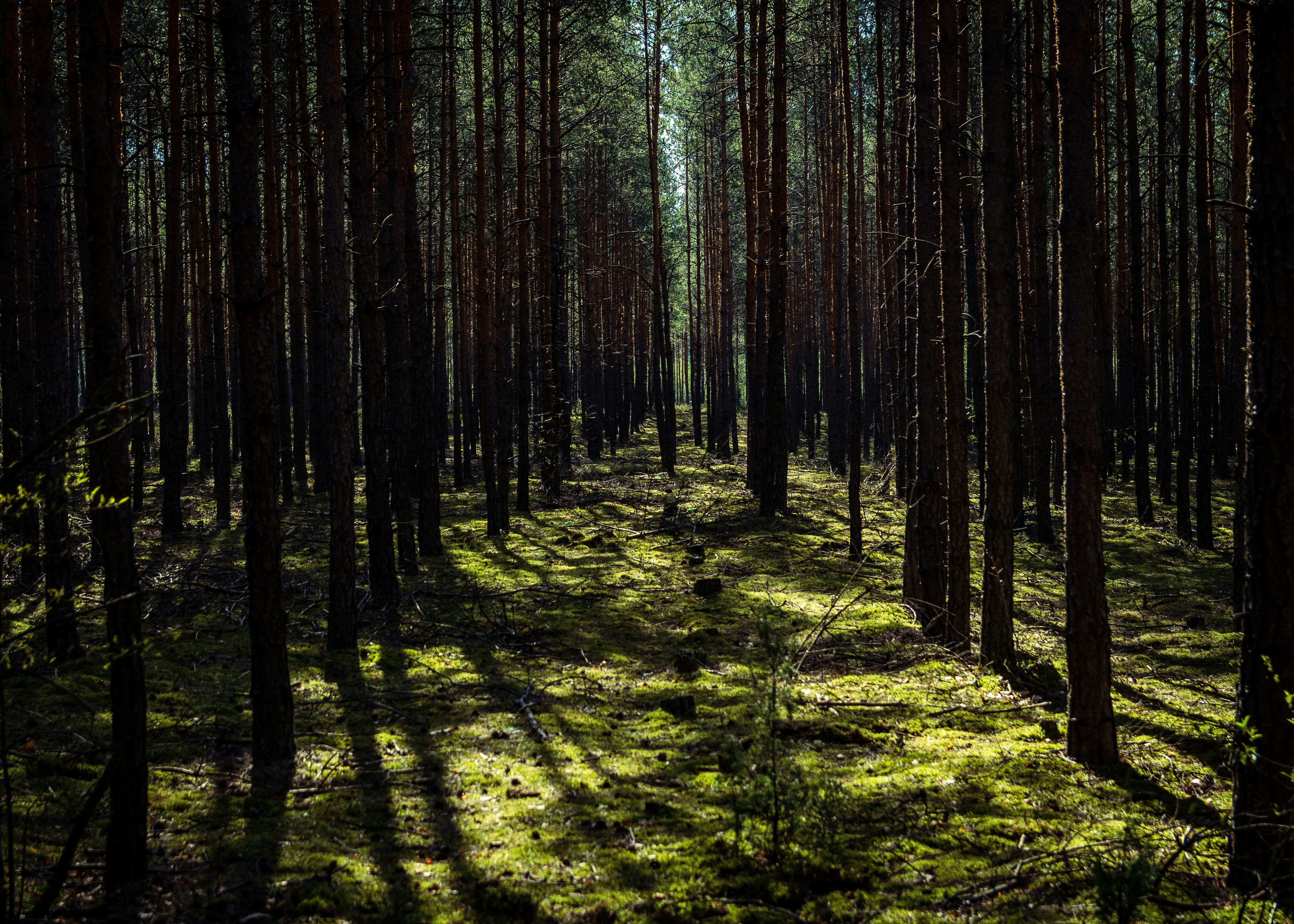 Photo by danielhajdacki