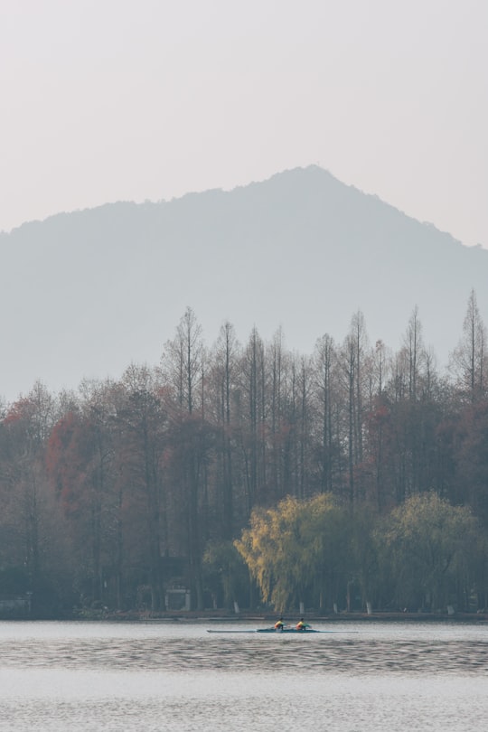 green trees on mountain during daytime in Hangzhou China