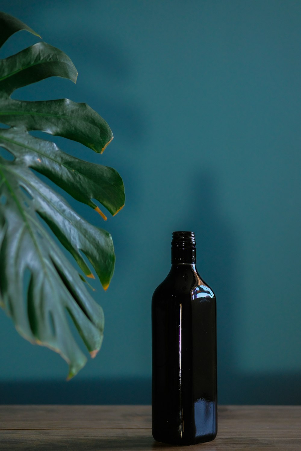 schwarze Glasflasche neben grüner Pflanze