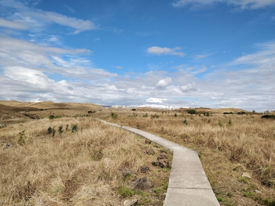 gray concrete road between green grass field under blue sky and white clouds during daytime in Meghalaya India