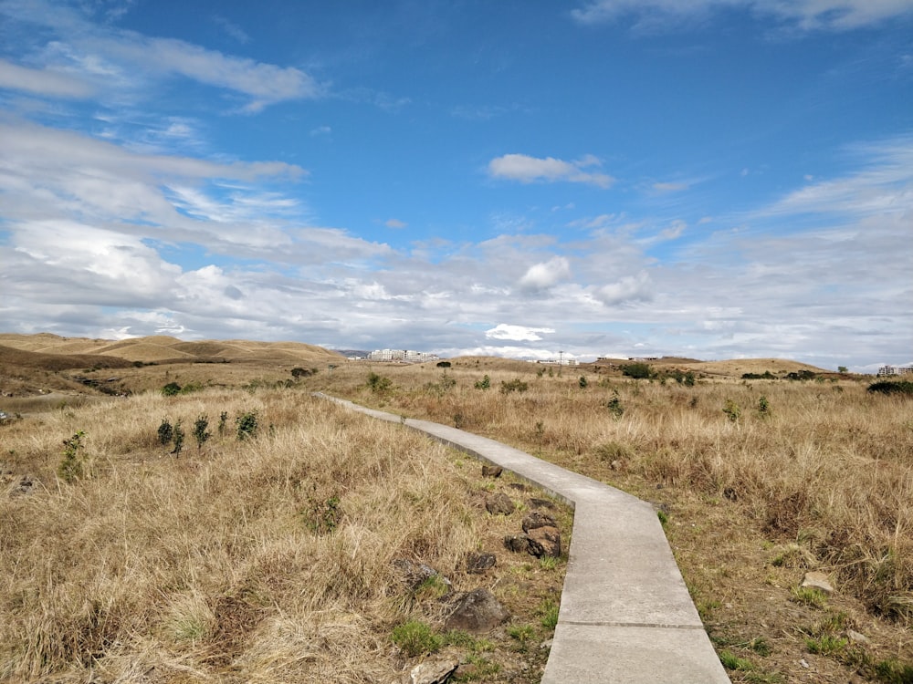 gray concrete road between green grass field under blue sky and white clouds during daytime