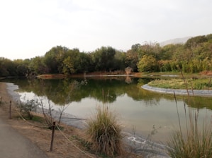 A serene pond surrounded by lush greenery after expert repair work.