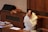 An elderly person dressed in a white religious robe is seated in a wooden pew with their head resting on their hand, possibly deep in thought or prayer. A red book with colorful ribbons is placed beside them. The setting appears to be a quiet and solemn environment, possibly a church or chapel.
