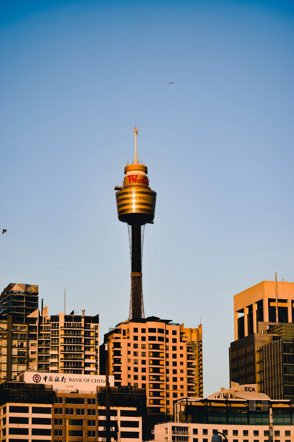 brown and black tower under blue sky during daytime