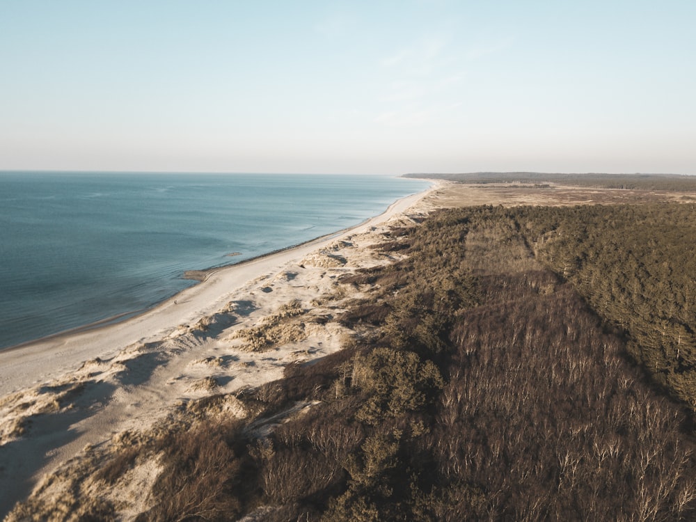 brown sand near body of water during daytime