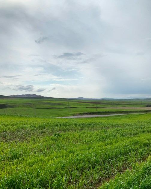 Top Nitrogen-Fixing Plants for Agroforestry: Transforming Unfertile ...