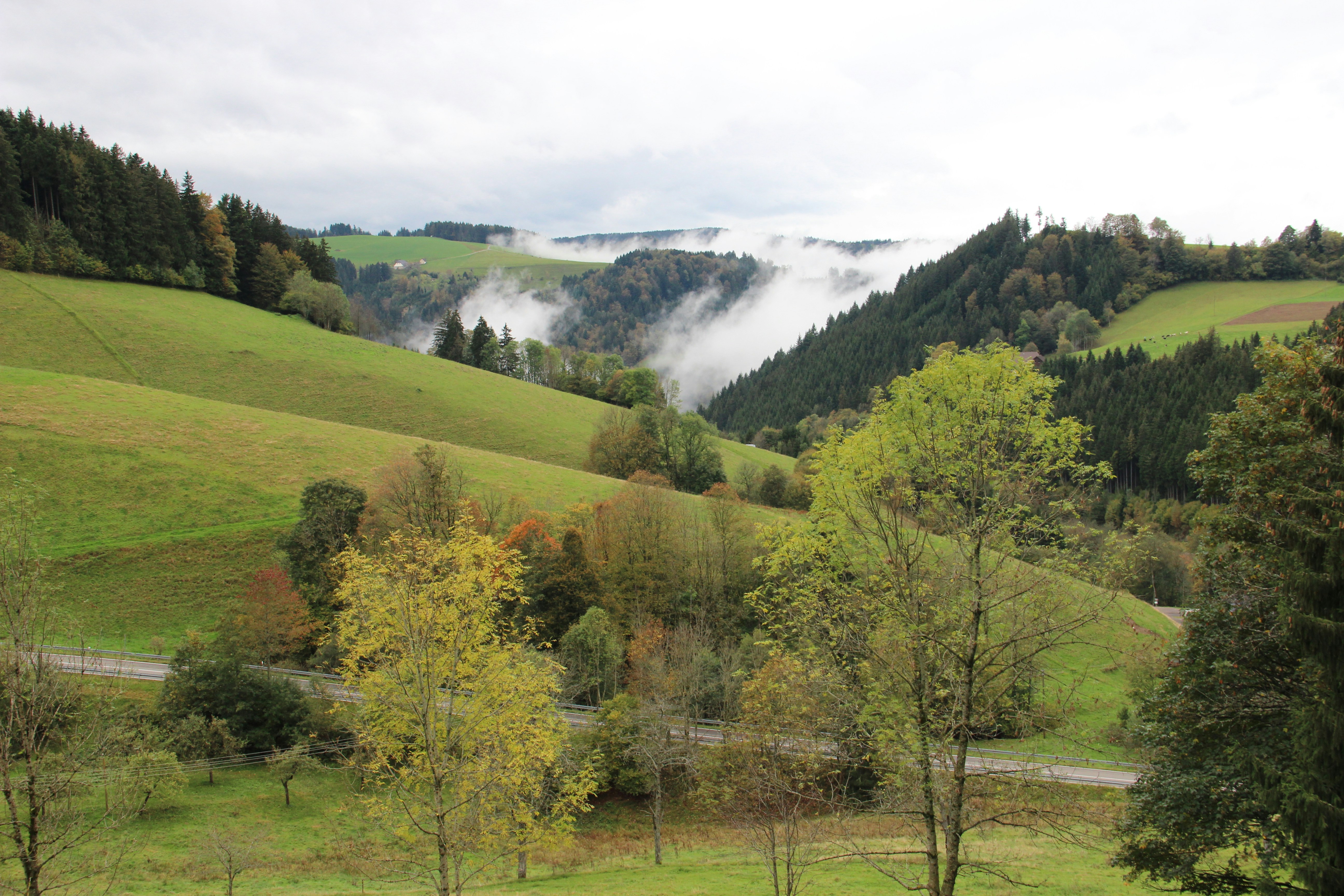 Photo by shalevcohen