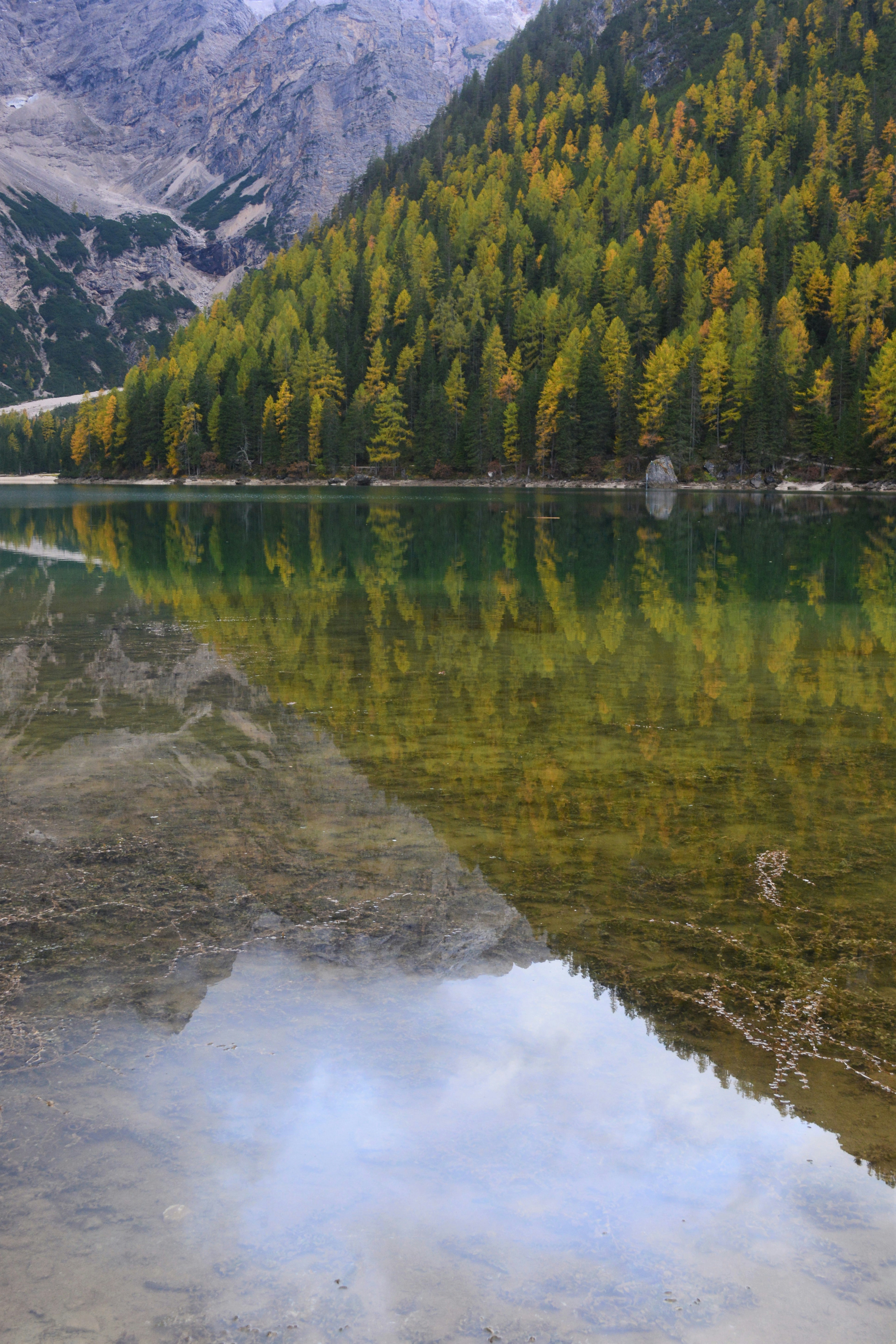 Photo by pedrino5_official