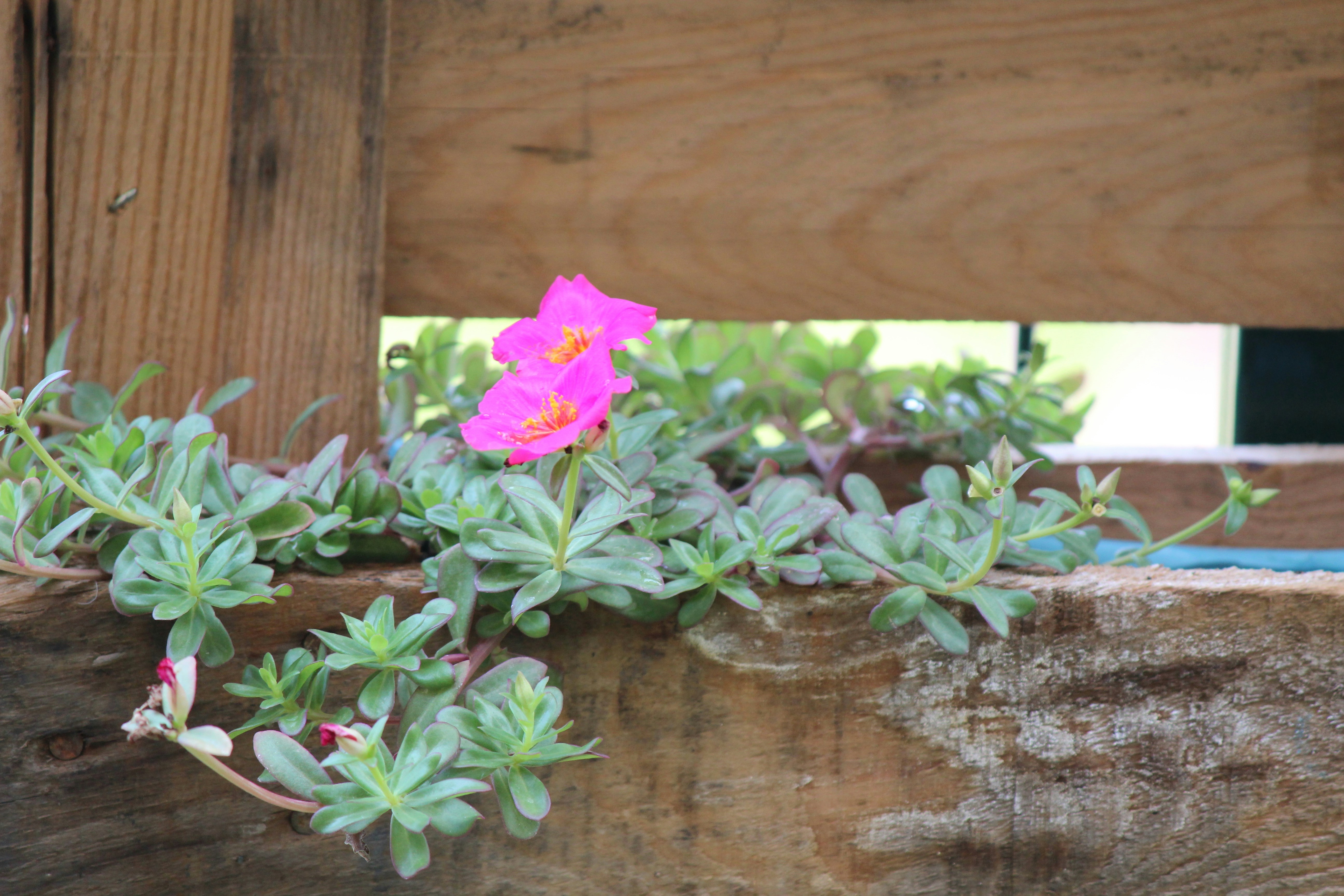 Photo by ozgurozkaplan