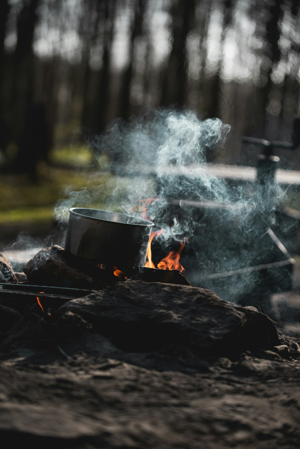 burning wood in forest during daytime