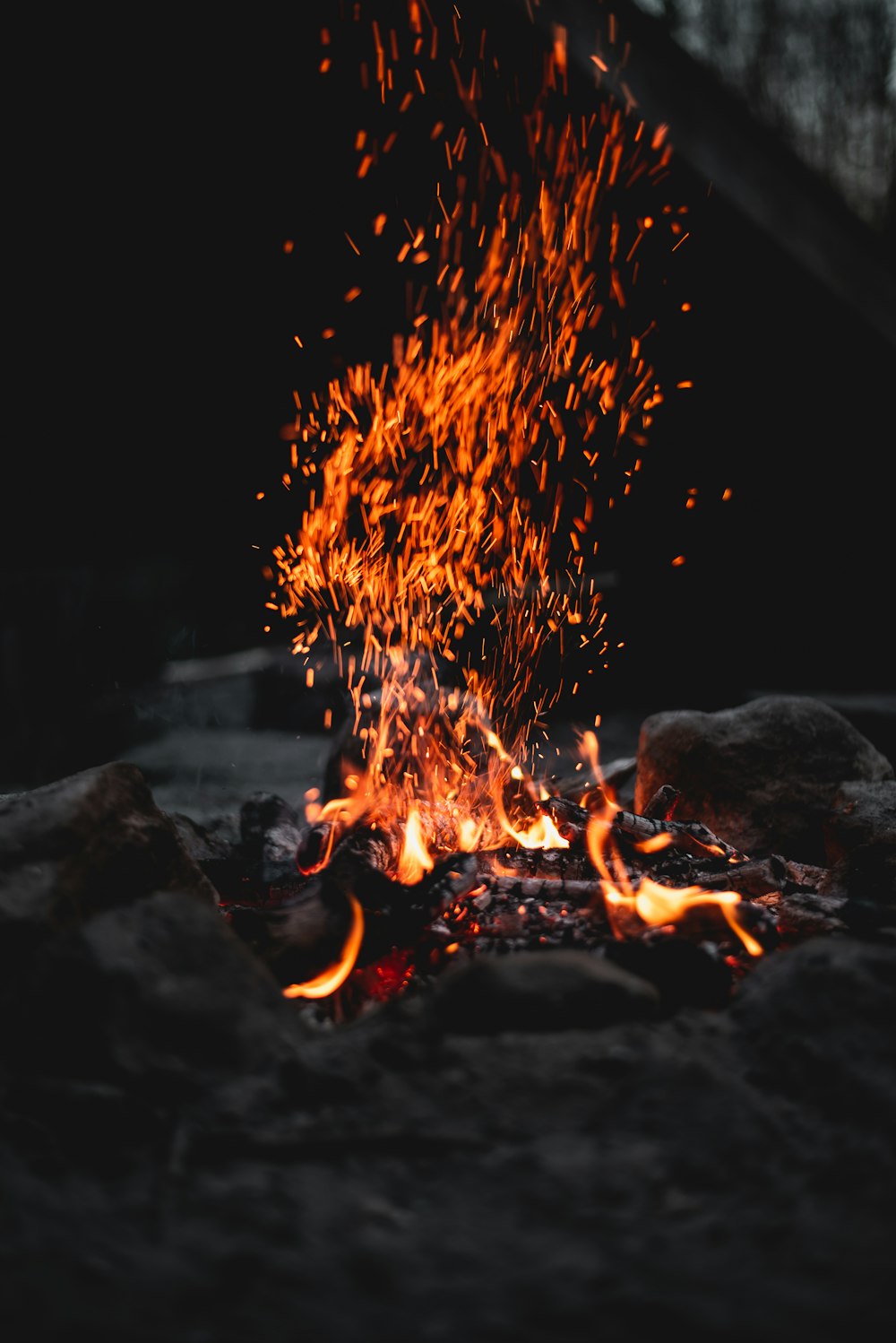 fuego en medio del bosque