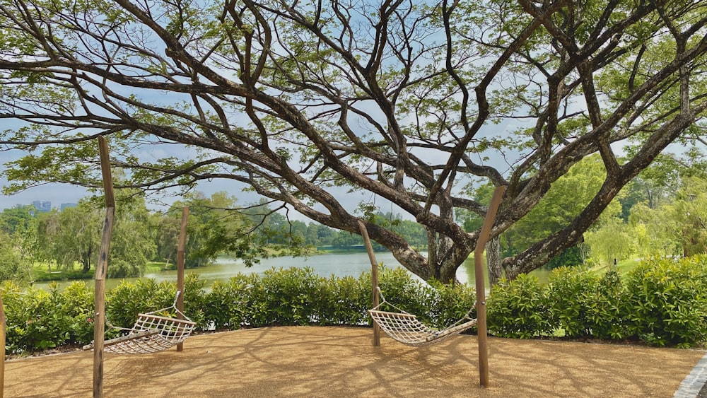 brown wooden bench near body of water during daytime