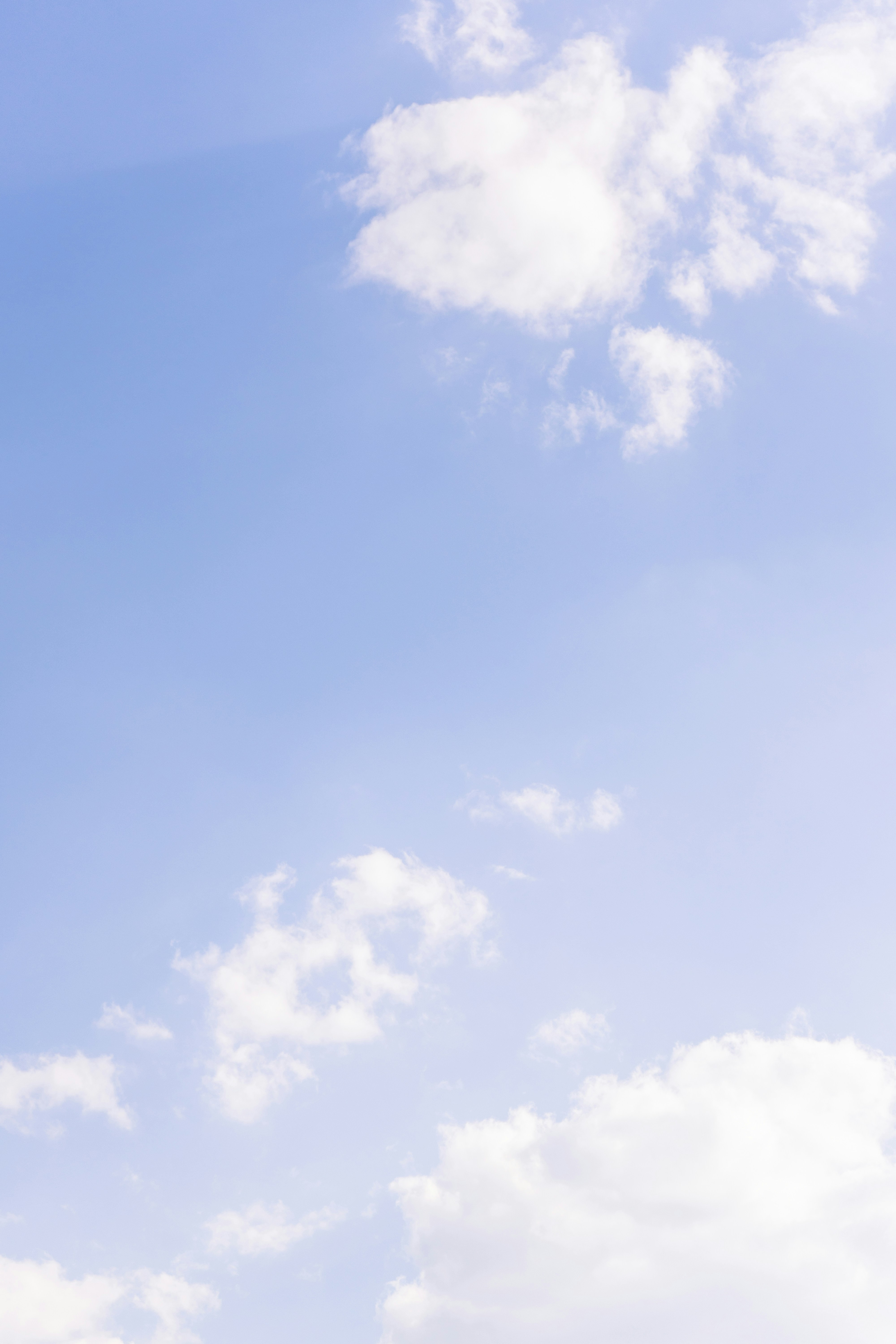 Photo by virussinside