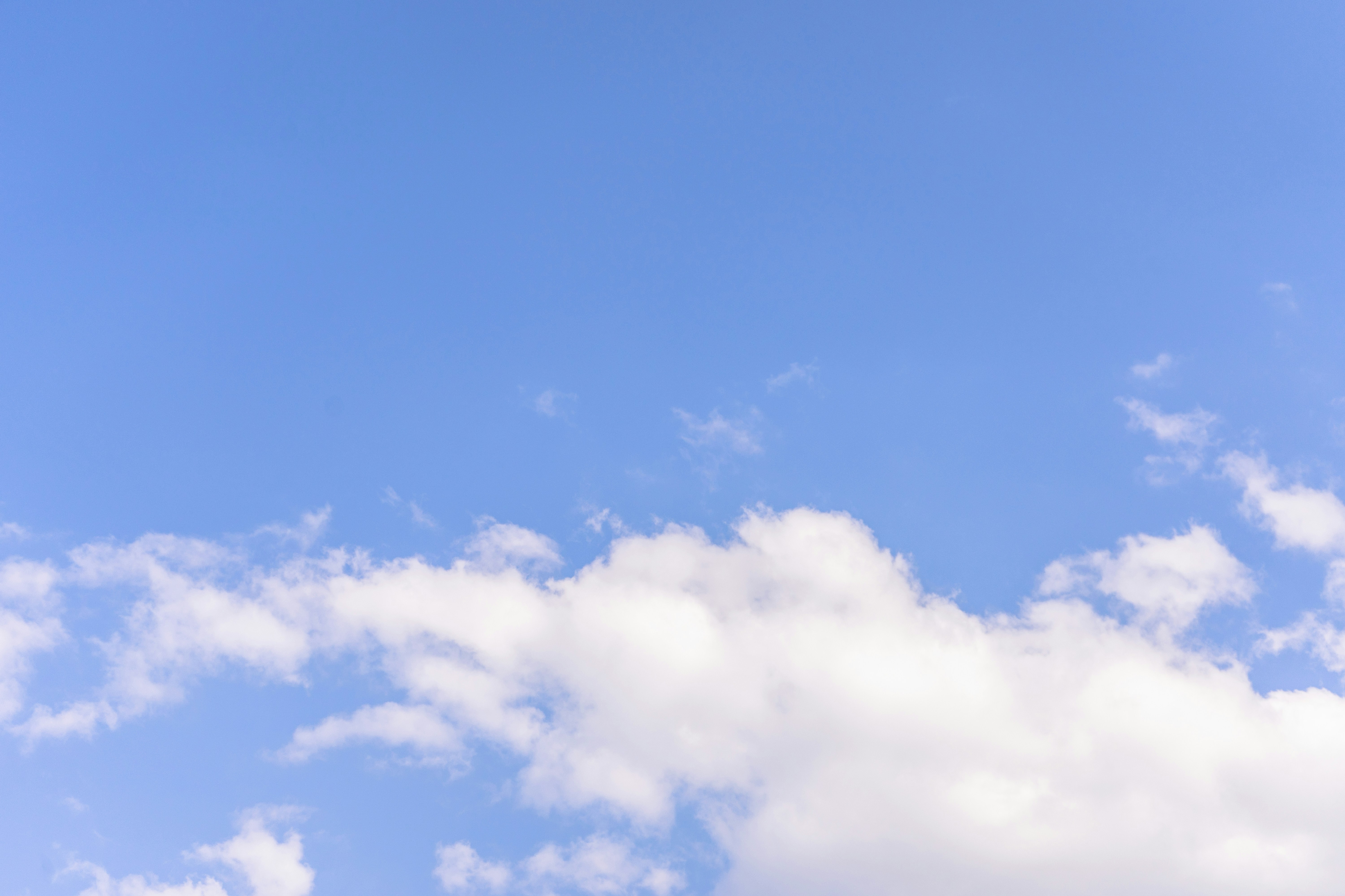 Photo by virussinside