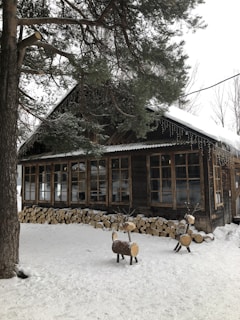 A rustic wooden cabin surrounded by snow, with logs of wood neatly stacked against its side. The roof is covered in snow, and there are two decorative wooden reindeer sculptures in the snow near the cabin. Pine trees with snow-dusted branches are visible around the cabin, and small icicle lights hang from the roof edge.