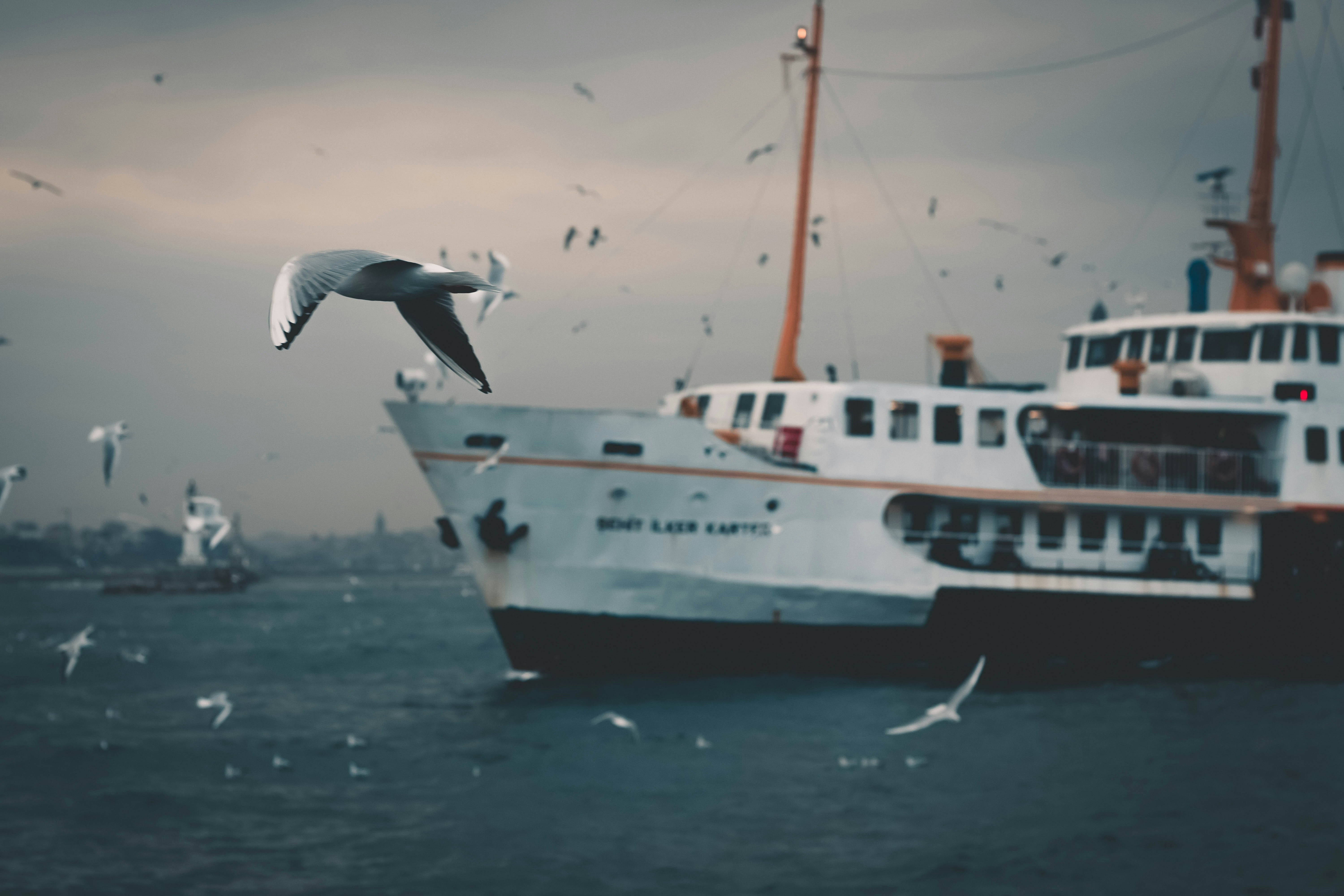 Photo by leventsimsek
