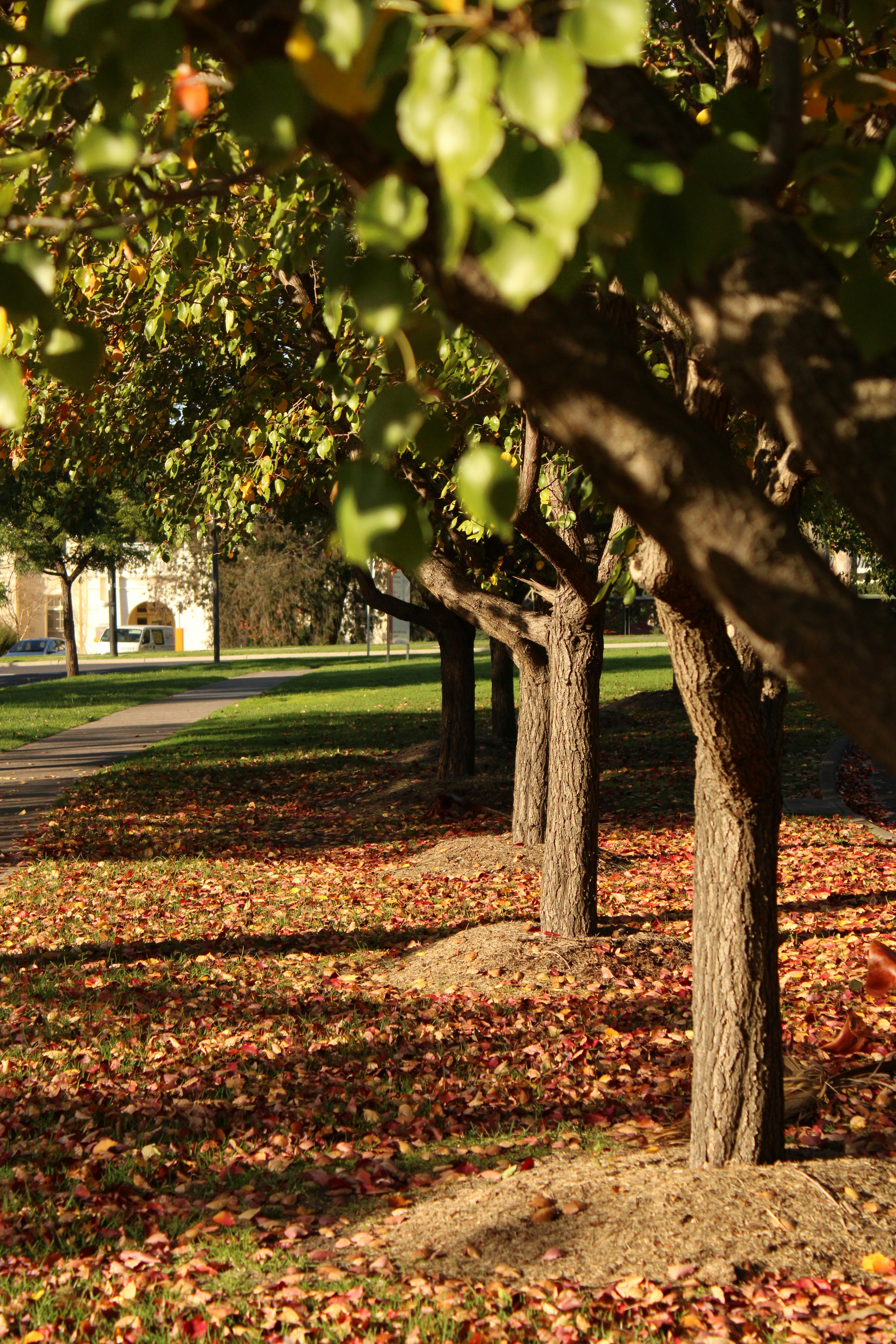 Photo by _sfletcher_