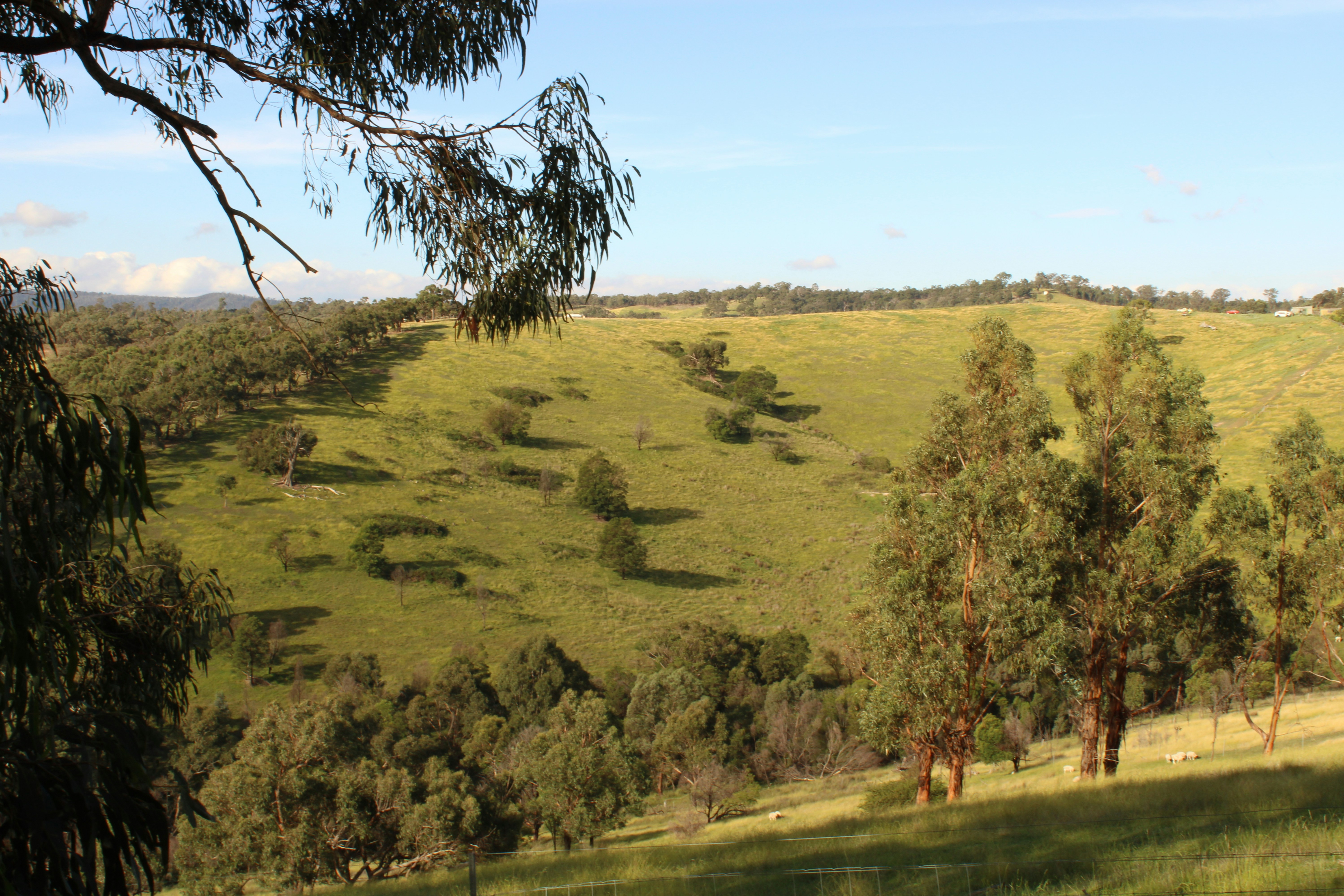 Photo by _sfletcher_