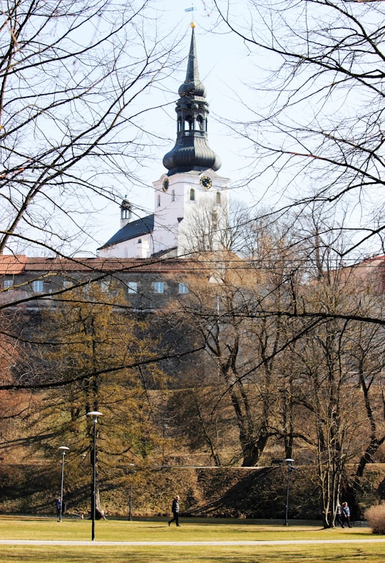 brown trees near white and brown concrete building in Old Town of Tallinn Estonia