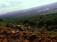 green trees on brown mountain under white clouds during daytime