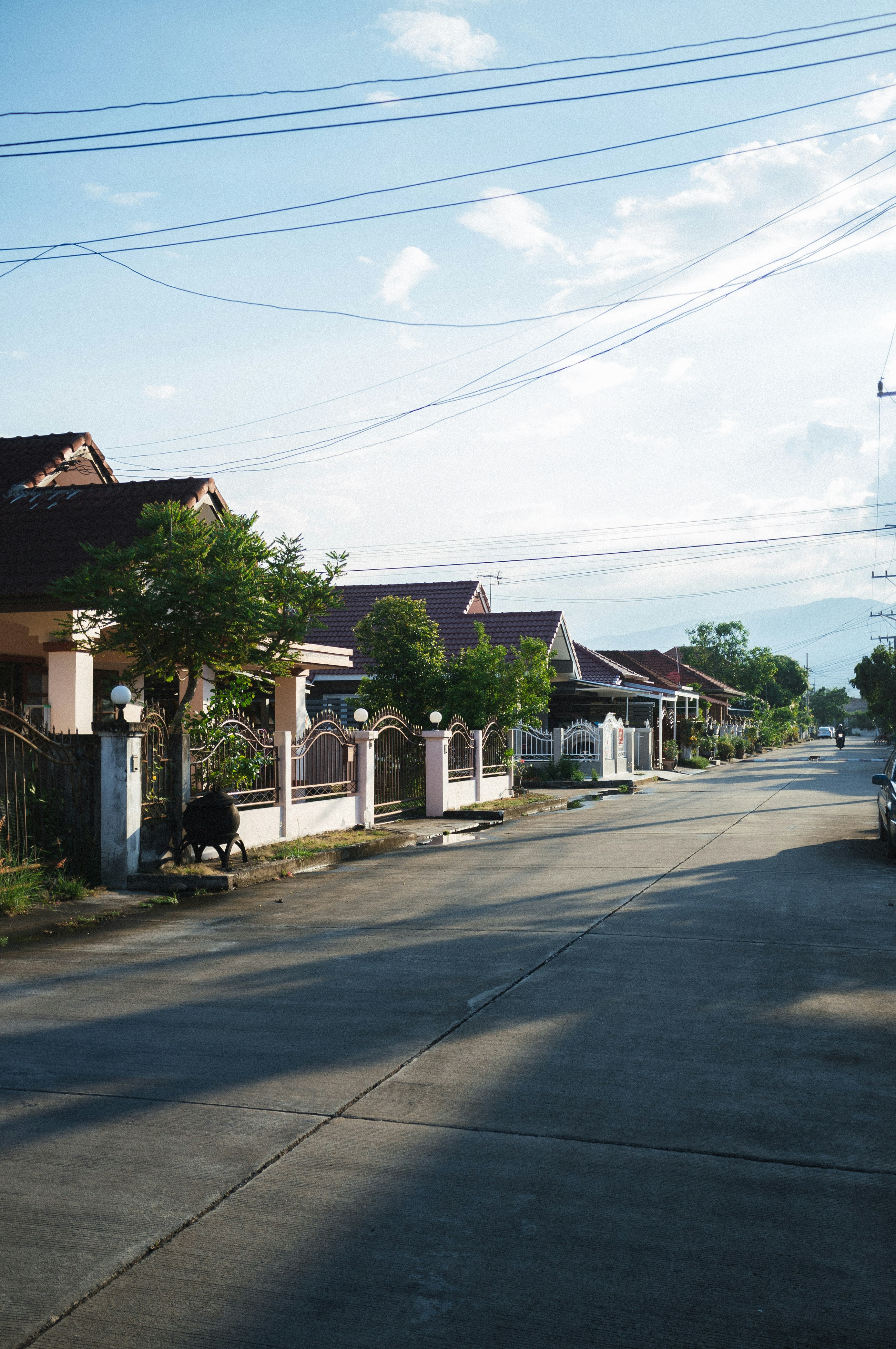 Photo by colepatrick