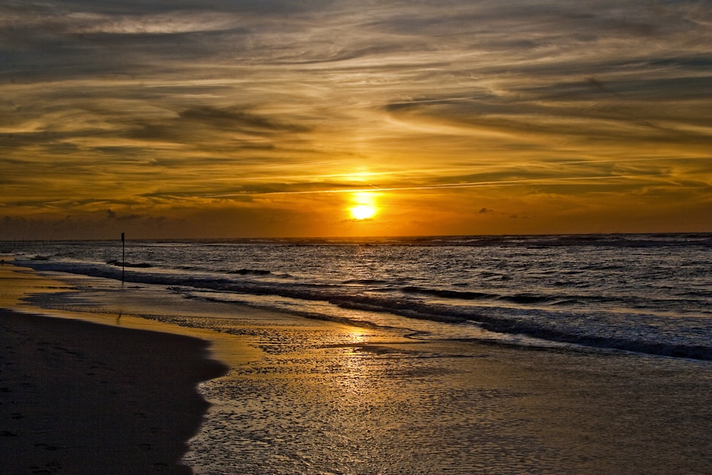 silhouette of people on beach during sunset