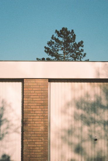 A brick wall divides two sections of white paneling, with a tall pine tree seen in the background under a clear blue sky. Shadows of trees cast onto the wall add texture and depth.