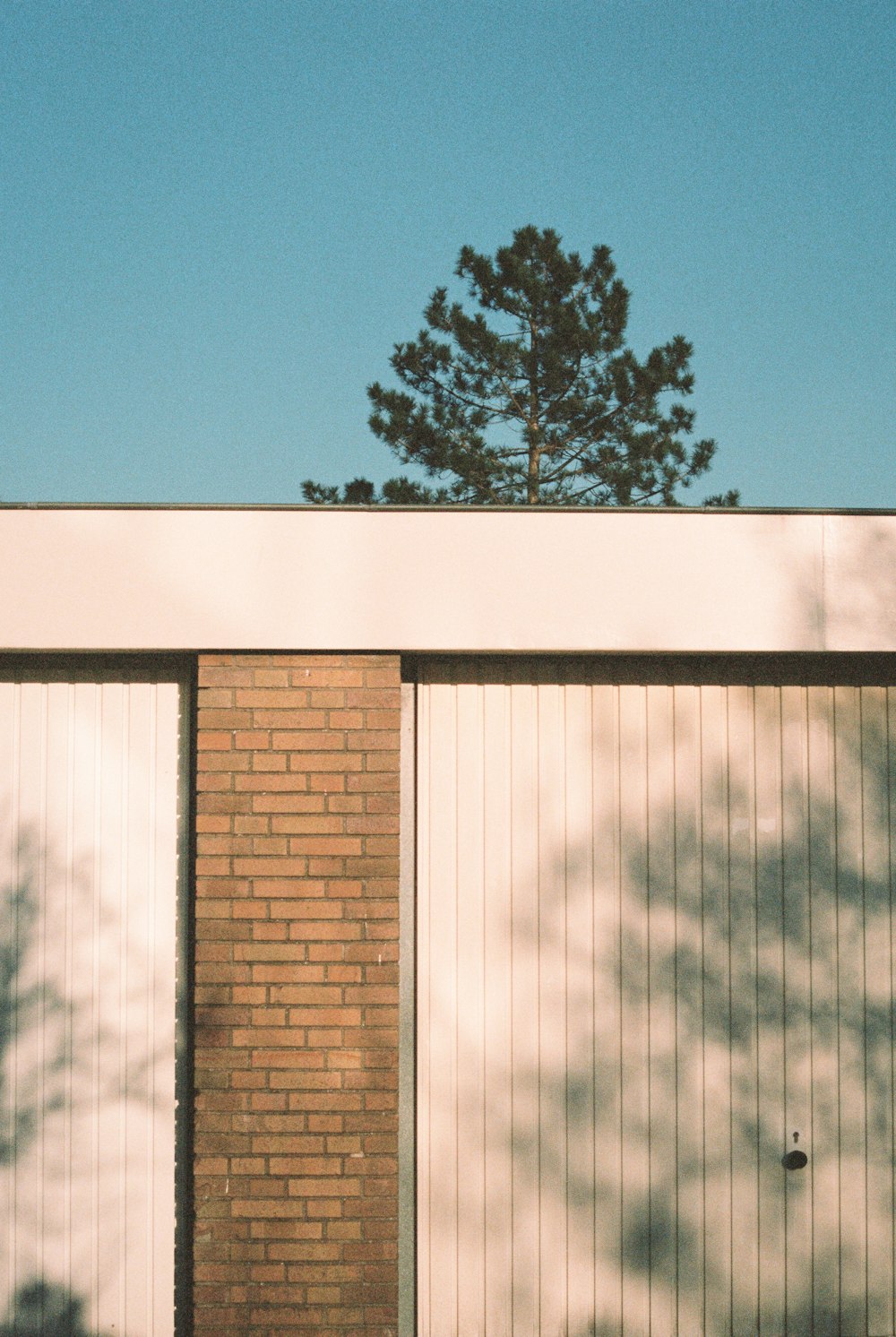 brown brick wall near green tree during daytime