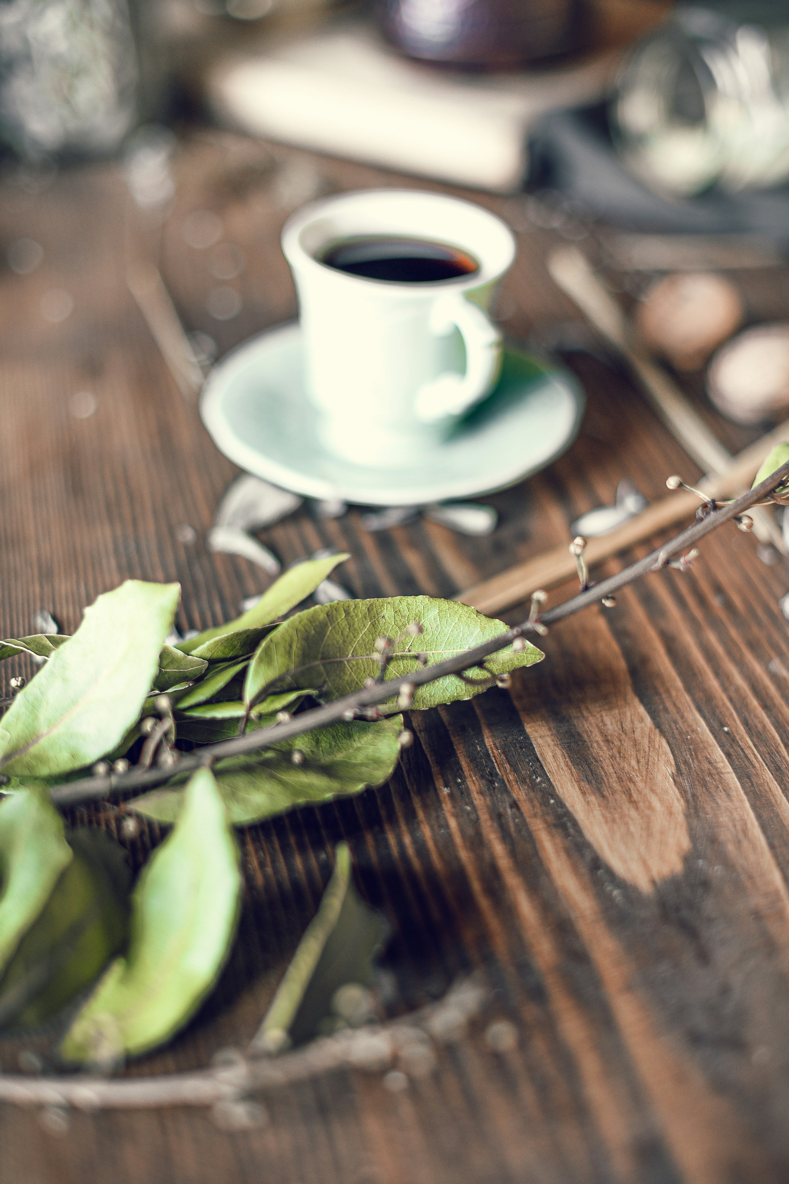 7 Loose Leaf Tea Subscription Tips for Beginners