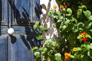 Classic White Door