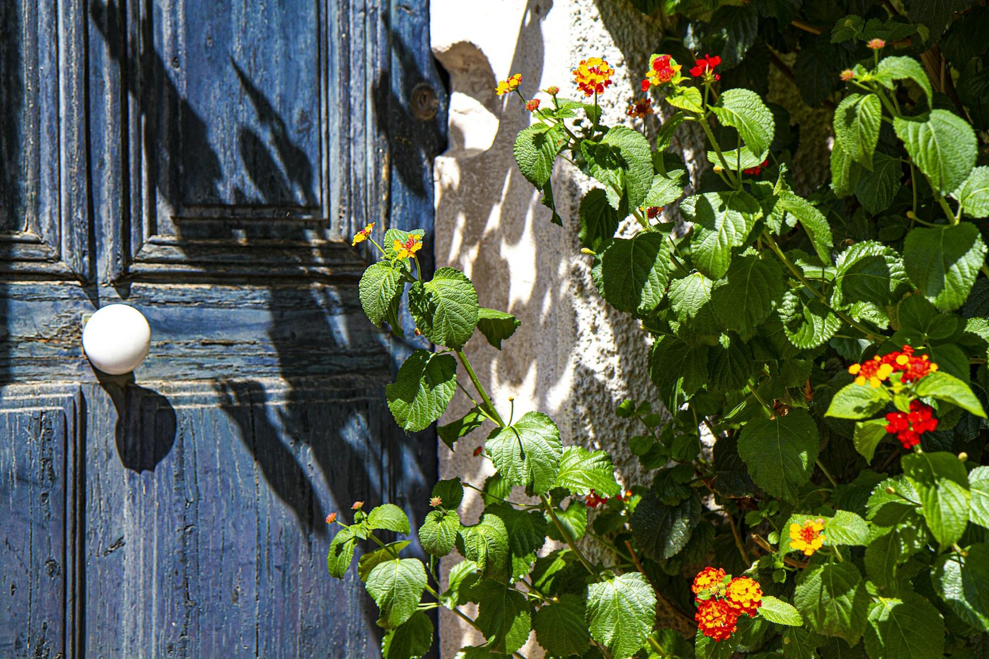 Exploring Salon-de-Provence: Local Culture, History & Traditions