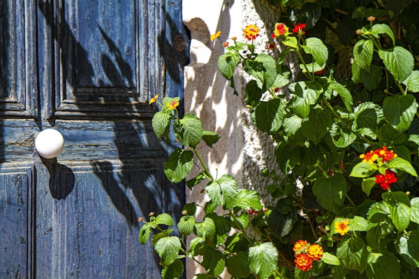 Exploring Salon-de-Provence: Local Culture, History & Traditions