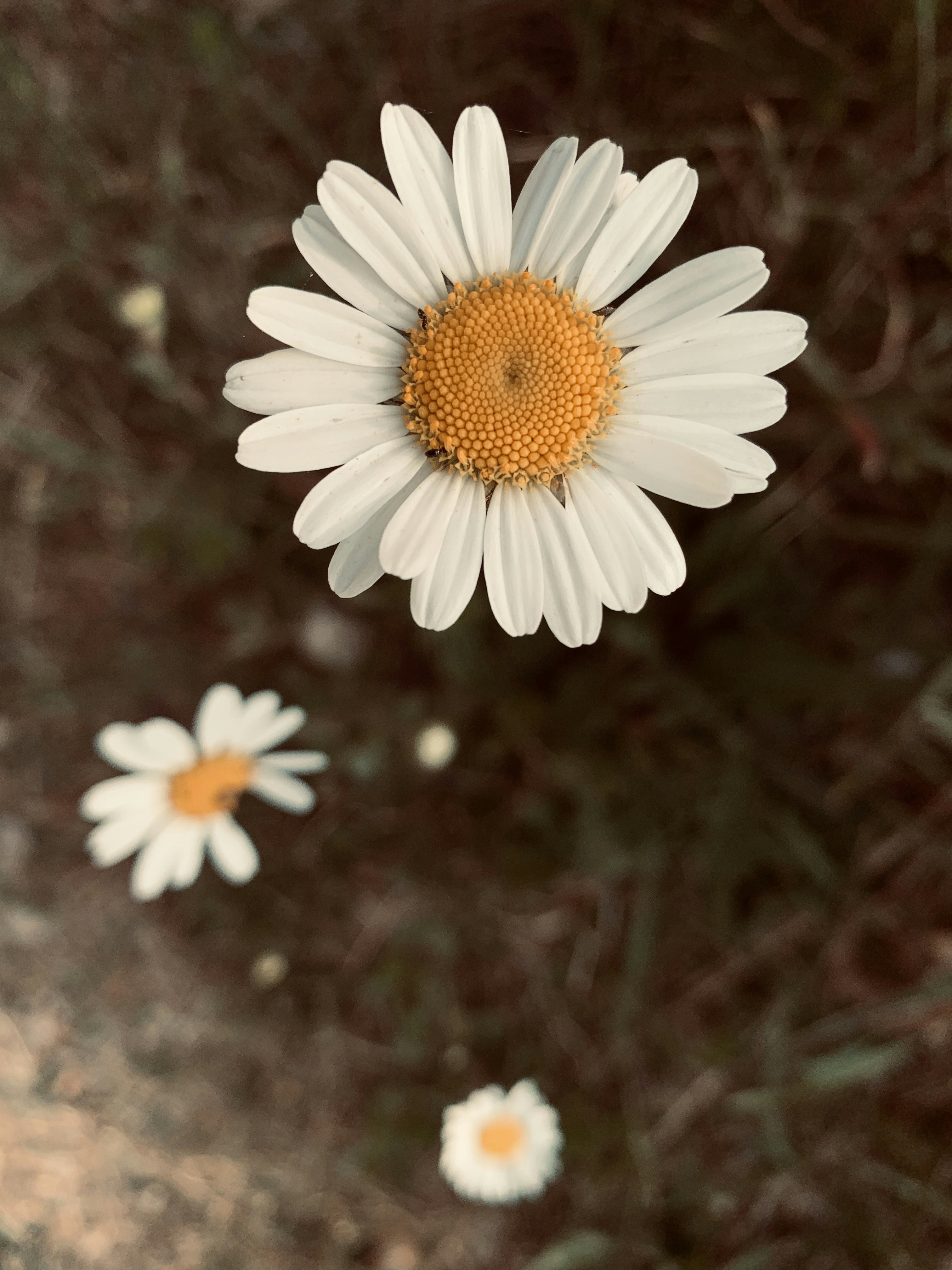 Photo by caterinamarusso