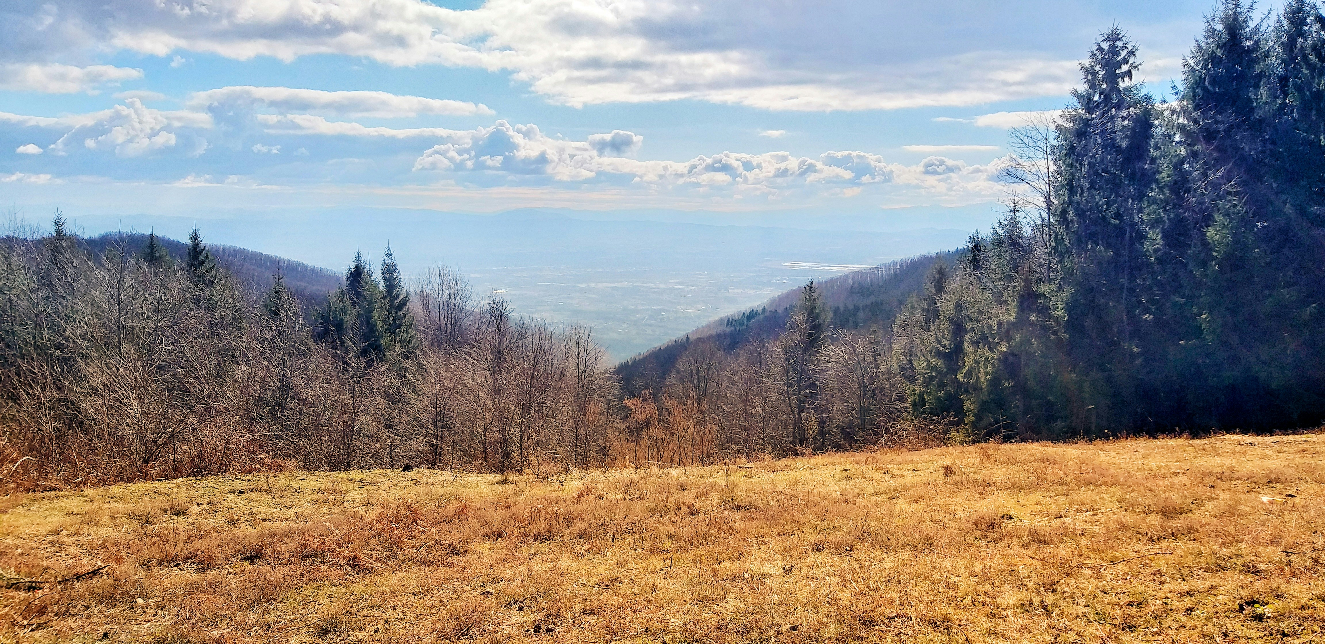 photo-1588334100882-f54d0450c268?ixid=M3wxMjA3fDB8MXxzZWFyY2h8NXx8JUQxJTgwJUQwJUIwJUQwJUIxJUQwJUJFJUQxJTg3JUQwJUI4JUQwJUI1JTIwJUQxJTgxJUQxJTgxJUQxJThCJUQwJUJCJUQwJUJBJUQwJUI4JTIwJUQwJUI4JTIwJUQwJUI3JUQwJUI1JUQxJTgwJUQwJUJBJUQwJUIwJUQwJUJCJUQwJUIwJTIwJUQwJUJBJUQxJTgwJUQwJUIwJUQwJUJBJUQwJUI1JUQwJUJEfGVufDB8fHx8MTczMjgwNzkxOHww\u0026ixlib=rb-4.0.3