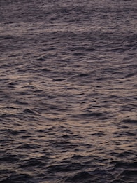 The image captures a vast expanse of the ocean with gentle waves. The water appears to be in motion, with varying textures created by the ripples and small waves. The lighting suggests a time either close to dawn or dusk, as the colors are muted with hints of deep blue and subtle gray tones.